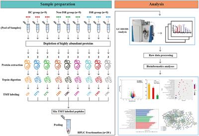 Plasma Proteome Profiling of Patients With In-stent Restenosis by Tandem Mass Tag-Based Quantitative Proteomics Approach